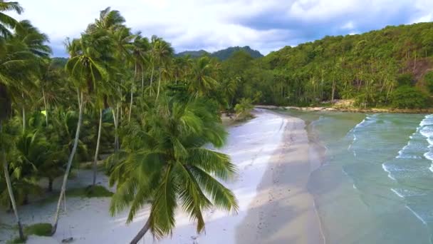在阳光明媚的日子里 可库德岛泰国燕鸥在热带海滩的空中俯瞰着棕榈树和草屋色的大海 高考特岛邦宝海滩 — 图库视频影像