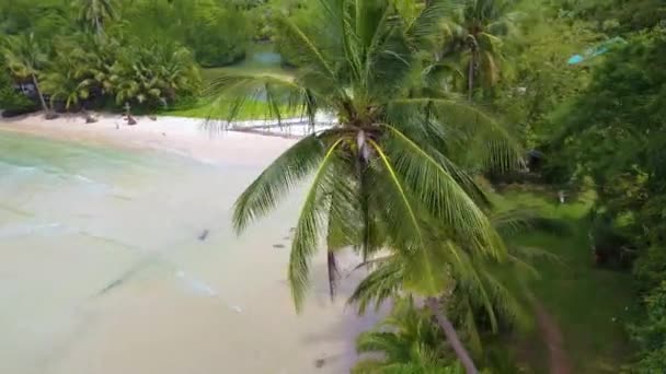 Пальмы Пляже Таиландского Острова Куд Koh Kood Island Thailand Trat — стоковое видео
