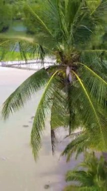 Koh Kood Adası Tayland Trat, güneşli bir günde tropikal sahilde palmiye ağaçları ve turkuaz renkli bir okyanus manzaralı İHA manzaralı Ko Kut Adası. 