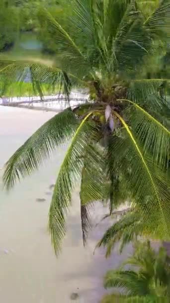Koh Kood Island Thailand Trat Top View Drone Uitzicht Het — Stockvideo