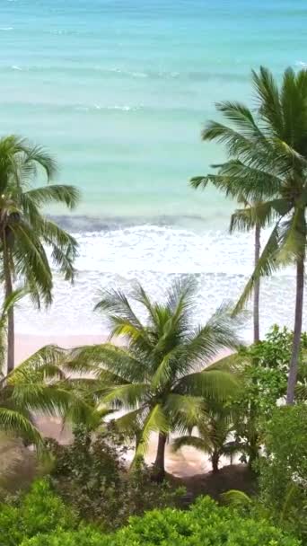 Zbliżenie Palm Plaży Koh Kood Island Tajlandia Trat Widok Lotu — Wideo stockowe