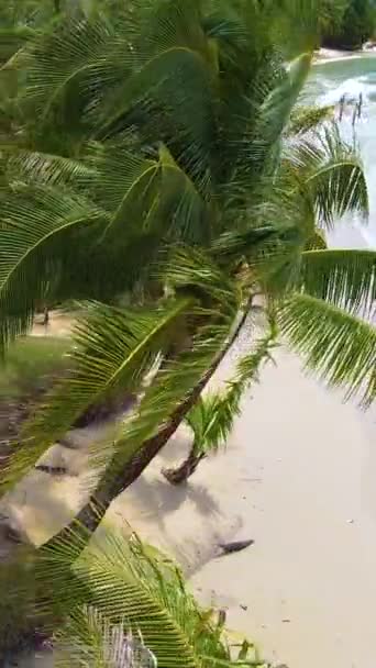 Koh Kood Island Thailand Trat Luchtfoto Drone Uitzicht Het Tropische — Stockvideo
