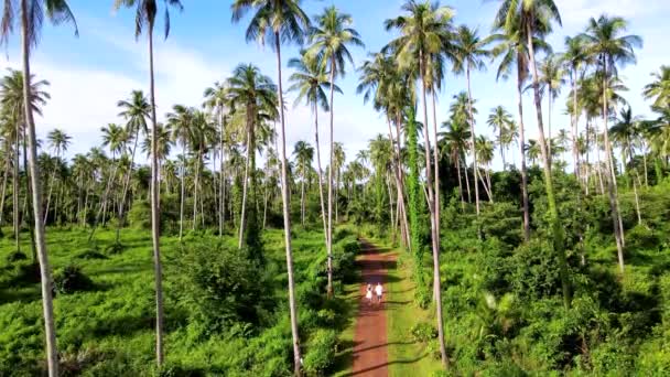 Zielone Palmy Tropikalnej Wyspie Koh Mak Tajlandia Wieczorem Drone Widok — Wideo stockowe