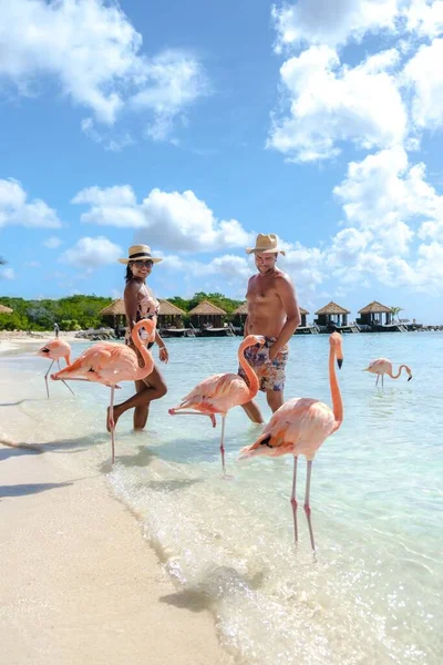Пляж Аруба Розовыми Фламинго Пляже Пара Мужчин Женщин Пляже Розовыми — стоковое фото