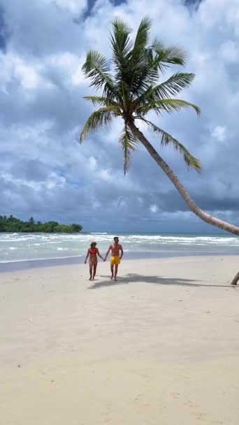 코코드 트라트 야자수와 칠면조 바다와 해변의 야자수와 해변에서 남성과 여자의 — 비디오