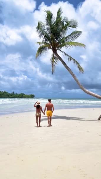 Een Paar Mannen Vrouwen Wandelen Het Strand Met Hangende Palmbomen — Stockvideo