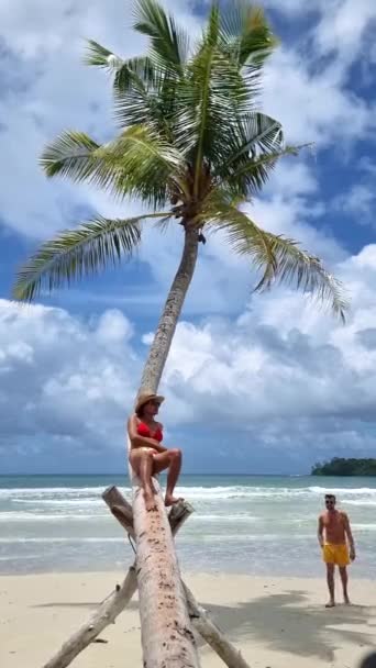 Een Paar Mannen Vrouwen Ontspannen Een Hangende Palmboom Het Strand — Stockvideo