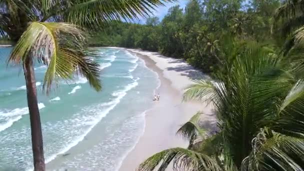 在泰国高库特岛 一对夫妇在高库德岛的海滩上散步 这里是一个热带海滩 阳光明媚 有棕榈树和草屋色的海洋 — 图库视频影像
