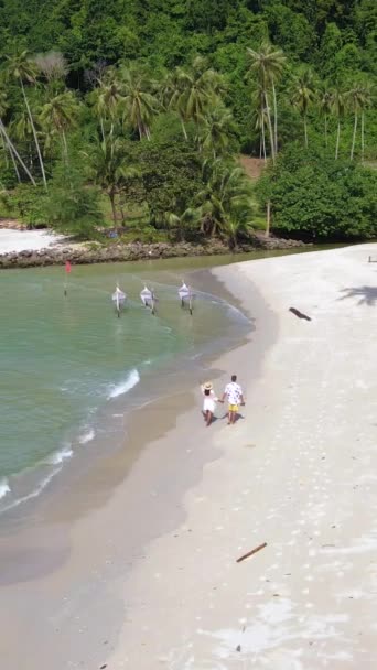 Bang Bao Beach Koh Kood Island Thailand Trat 야자수와 칠면조 — 비디오