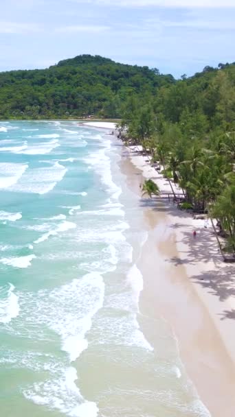 Пляж Пальмами Острові Кут Таїланд Трат Тропічний Пляж Пальмами Океаном — стокове відео