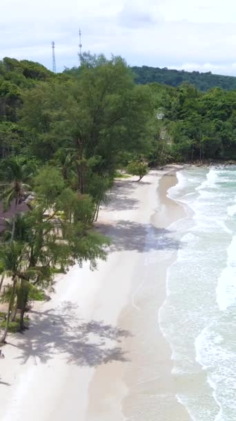 コッド島タイトラットのヤシの木とビーチ ヤシの木とトロピカルビーチ 晴れた日に海を彩ったターバウス ビーチにココナッツのヤシの木とコク島 — ストック動画