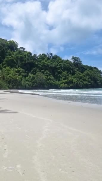 ココッド島タイトラットでヤシの木をぶら下げるビーチ ヤシの木とトロピカルビーチ 晴れた日にカラフルな海を着色したカラオケ島タイ — ストック動画