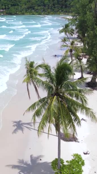 Playa Con Palmeras Colgantes Koh Kood Island Thailand Trat Playa — Vídeo de stock