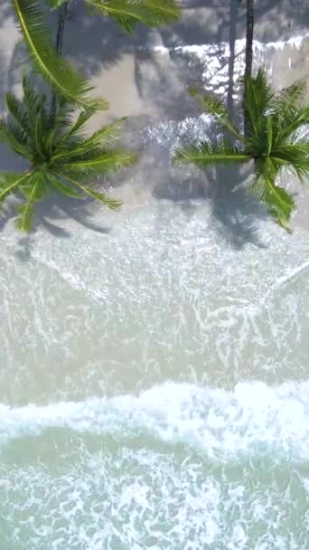 Plaża Wiszącymi Palmami Wyspie Koh Kood Tajlandia Trat Tropikalna Plaża — Wideo stockowe