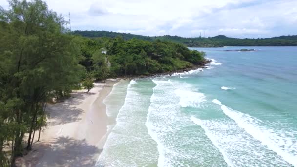 Тропічний Пляж Острів Куд Таїланд Трат Тропічний Пляж Пальмами Водорості — стокове відео