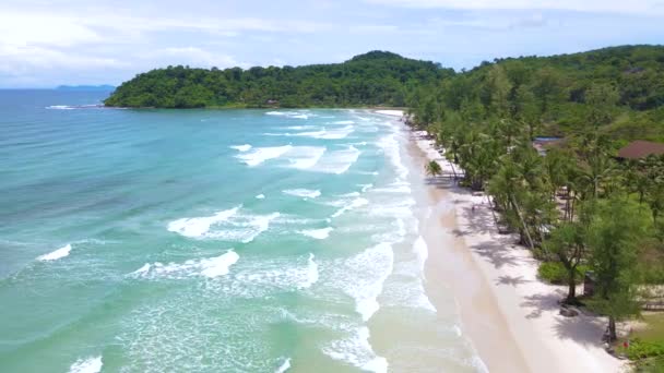 Тропічний Пляж Острів Куд Таїланд Трат Тропічний Пляж Пальмами Водорості — стокове відео