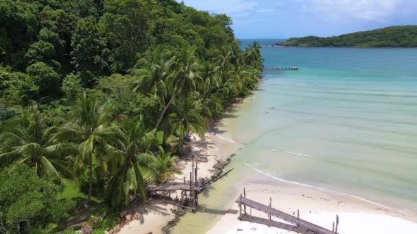 Bang Bao Sahili Koh Kood Adası Tayland Trat Palmiye Ağaçları — Stok video