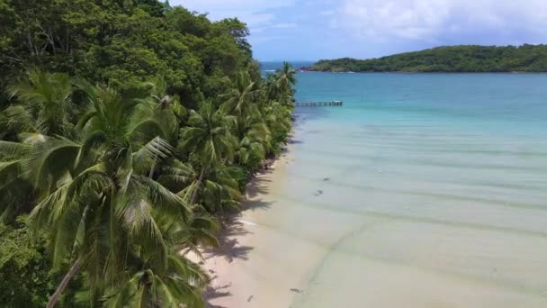 高库德岛 泰国热带海滩 阳光明媚的日子里 有棕榈树和草屋色的海洋 高库特岛 海滩上有椰子树 — 图库视频影像