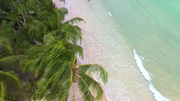 Koh Kood Island Thailand Trat Praia Tropical Com Palmeiras Turqouse — Vídeo de Stock