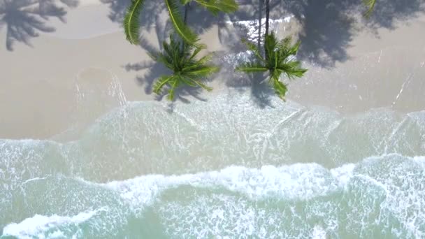 Vista Drone Superior Uma Praia Koh Kood Island Tailândia Trat — Vídeo de Stock