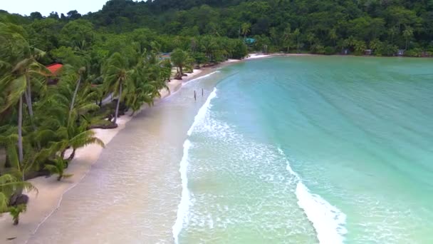 高库德岛 泰国热带海滩 阳光明媚的日子里 有棕榈树和草屋色的海洋 高库特岛 海滩上有椰子树 无人侦察机俯瞰 — 图库视频影像