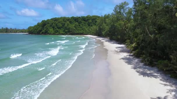 高库德岛 泰国热带海滩 阳光明媚的日子里 有棕榈树和草屋色的海洋 高库特岛 海滩上有椰子树 无人侦察机俯瞰 — 图库视频影像