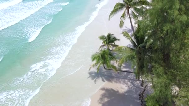 高库德岛 泰国热带海滩 阳光明媚的日子里 有棕榈树和草屋色的海洋 高库特岛 海滩上有椰子树 — 图库视频影像