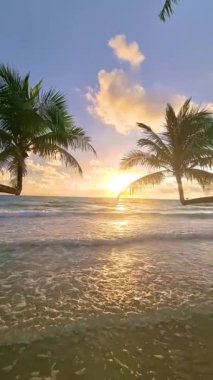 Sahilde gün batımında Koh Kood Adası 'nda palmiye ağaçları asılı. Tayland Trat, plajda gün batımında palmiye ağaçları olan tropik bir plaj.