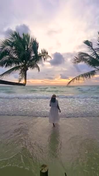 Žena Sleduje Západ Slunce Pláži Visícími Palmami Koh Kood Island — Stock video
