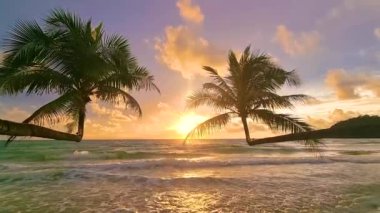 Sahilde gün batımında Koh Kood Adası 'nda palmiye ağaçları asılı. Tayland Trat, plajda gün batımında palmiye ağaçları olan tropik bir plaj.
