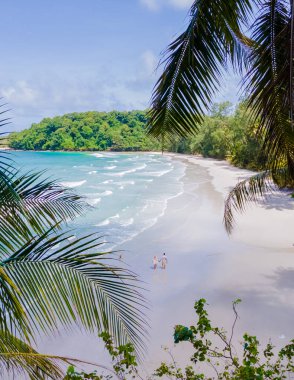 Ao Jark Körfezi ve Beach Koh Kood Adası Tayland Trat, palmiye ağaçları ve turkuaz renkli okyanuslu tropik plaj güneşli bir günde, Ko Kut Adası plajında yürüyen çift