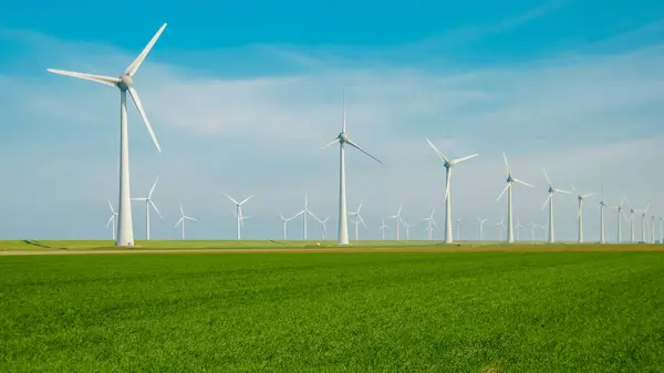 Windmills Electric Power Production Netherlands Green Grass Foreground — Stock Photo, Image