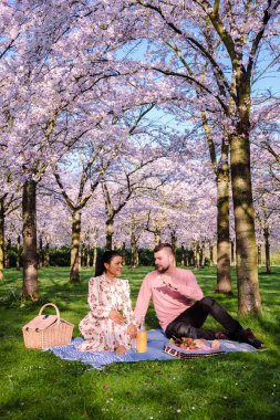 Parkın Kersenbloesempark Çiçek Parkı 'nda bir çift kadın ve erkek pikniği Amsterdamse Bos' ta 400 kiraz ağacı vardır baharda güzel kiraz çiçeklerinin ya da Sakura 'nın tadını çıkarabilirsiniz. Hollanda