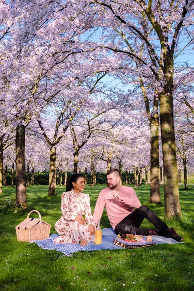 a couple of men and women picnic in the parkKersenbloesempark Flower Park There are 400 cherry trees in Amsterdamse Bos, In the spring you can enjoy the beautiful cherry blossom or Sakura. Netherlands