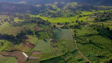 Chiangmai, Tayland 'daki Terrace Rice Field, Kuzey Tayland' daki Khun Pae Kraliyet Projesi, yeşil çeltik tarlaları.
