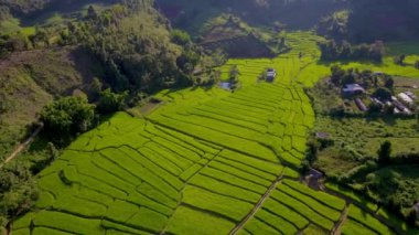 Tayland, Chiangmai 'deki Terrace Rice Field, Tayland Kraliyet Projesi Kuzey Tayland' daki Khun Pae ve yağmur mevsiminde yeşil pirinç tarlaları.