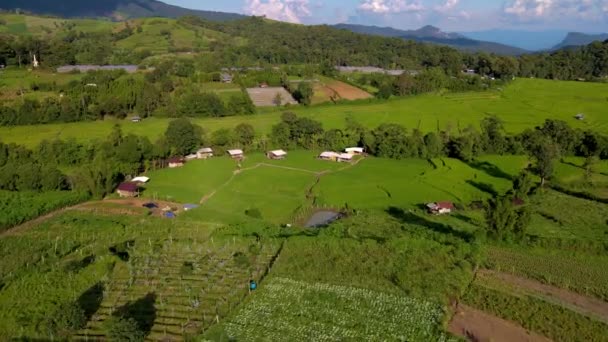 Campo Arroz Terraço Chiangmai Tailândia Projeto Real Khun Pae Norte — Vídeo de Stock