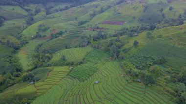 Chiangmai 'deki Terrace Rice Field, Tayland Pa Pong Piang, Chang Khoeng, Mae Chaem Bölgesi. Tayland 'da yeşil mevsim