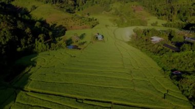 Chiangmai, Tayland 'daki Terrace Rice Field, Kuzey Tayland' daki Khun Pae Kraliyet Projesi yeşil çeltik tarlaları ve Susnet 'teki küçük çiftlik kulübeleri.