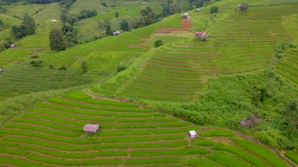 Vista Del Dron Desde Arriba Terraced Rice Field Chiangmai Tailandia — Vídeo de stock