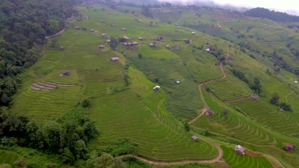 Terraced Rice Field Chiangmai Tailandia Terrazas Arroz Pong Piang Con — Vídeo de stock