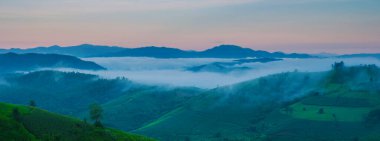 Chiangmai, Tayland 'daki Terrace Rice Field, Pa Pong Piang pirinç terasları, yağmur mevsiminde yağmur mevsiminde sisli ve sisli bulutlu yeşil çeltik tarlaları.