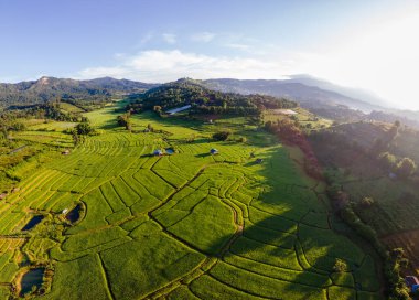 Chiangmai, Tayland 'daki Terrace Rice Field, Pa Pong Piang pirinç terasları, yağmur mevsiminde yağmur mevsiminde dağlarda çeltik tarlaları.