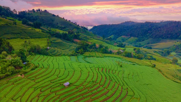 Terrazzo Rice Field Chiangmai Thailandia Pong Piang Terrazze Riso Risaie — Foto Stock
