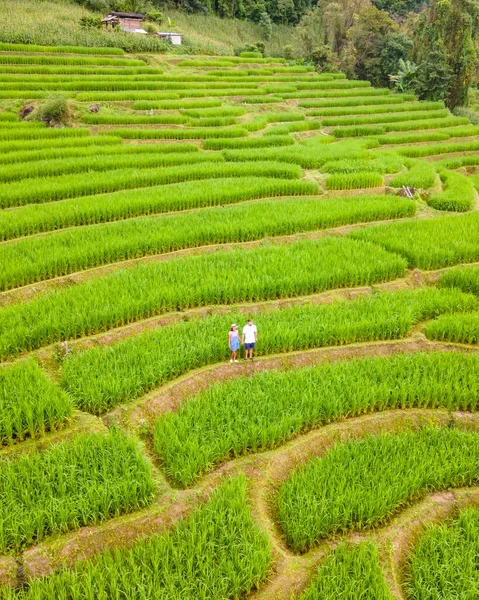 位于泰国清迈的梯田稻田 帕邦坪稻田 雨季绿稻田 日落时 一对男女参观了绿色稻田 — 图库照片
