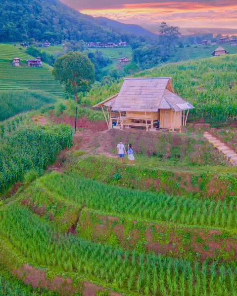 位于泰国清迈的梯田稻田 帕邦坪稻田 雨季绿稻田 一对男女情侣来到了绿色的稻田 住在一个家的路上 — 图库照片