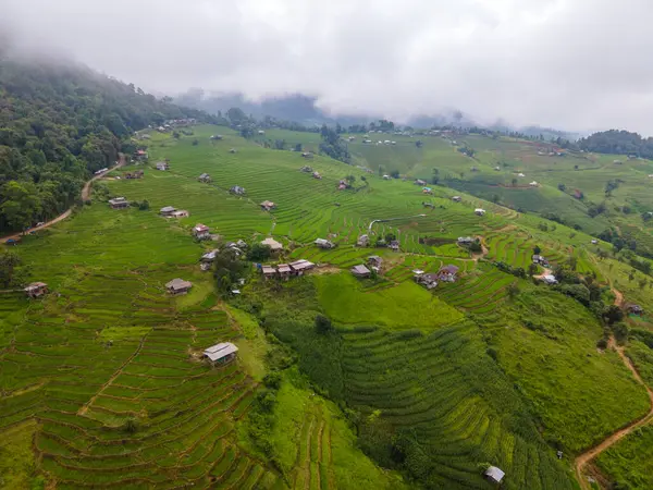 Reisterrassenfeld Chiangmai Thailand Pong Piang Reisterrassen Grüne Reisfelder — Stockfoto