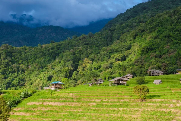 タイのチェンマイにあるテラスライスフィールド ポンピアンライステラス 雨季の緑米パディフィールド 人々が地元の農家に滞在できる山のホームステイ — ストック写真