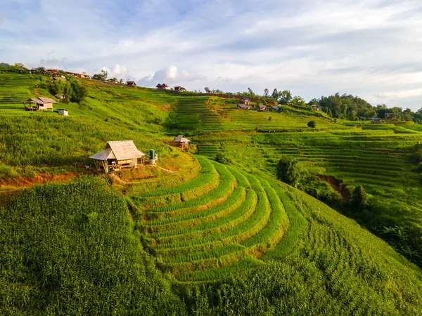 位于泰国清迈的梯田稻田 帕邦坪稻田 绿稻田在雨季 泰国山区的小型家庭农场 — 图库照片