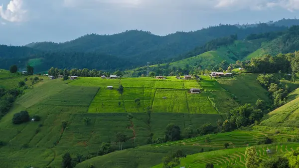 泰国清迈绿色梯田 帕邦坪稻田 雨季绿稻田的无人机鸟瞰 — 图库照片